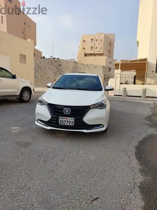 شانجان السفين 2024